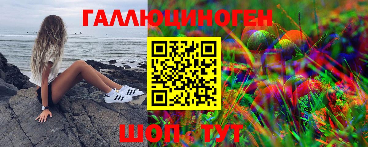 Галлюциногенные грибы Psilocybe Кубинка